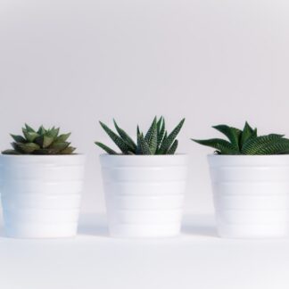 Cloud Ceramic Planter