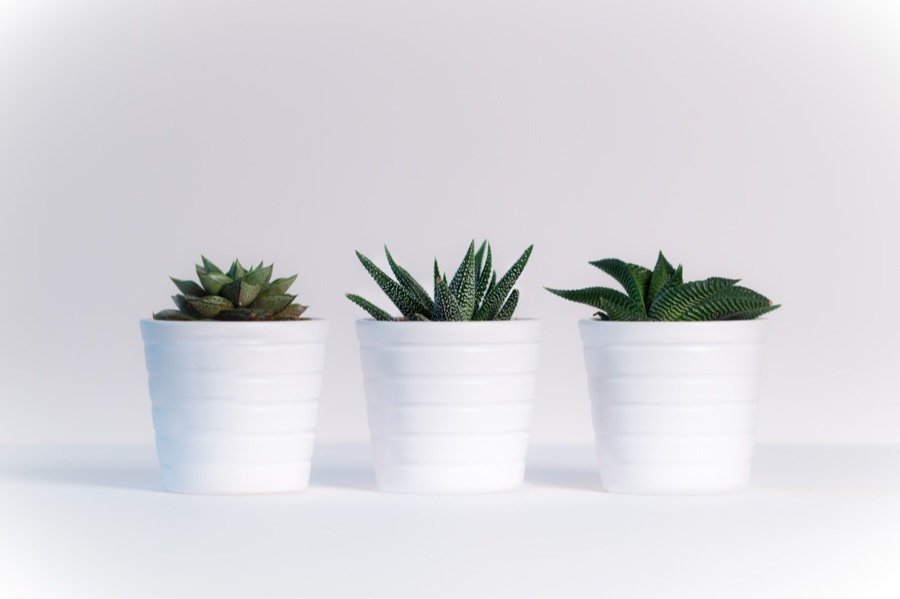 Cloud Ceramic Planter