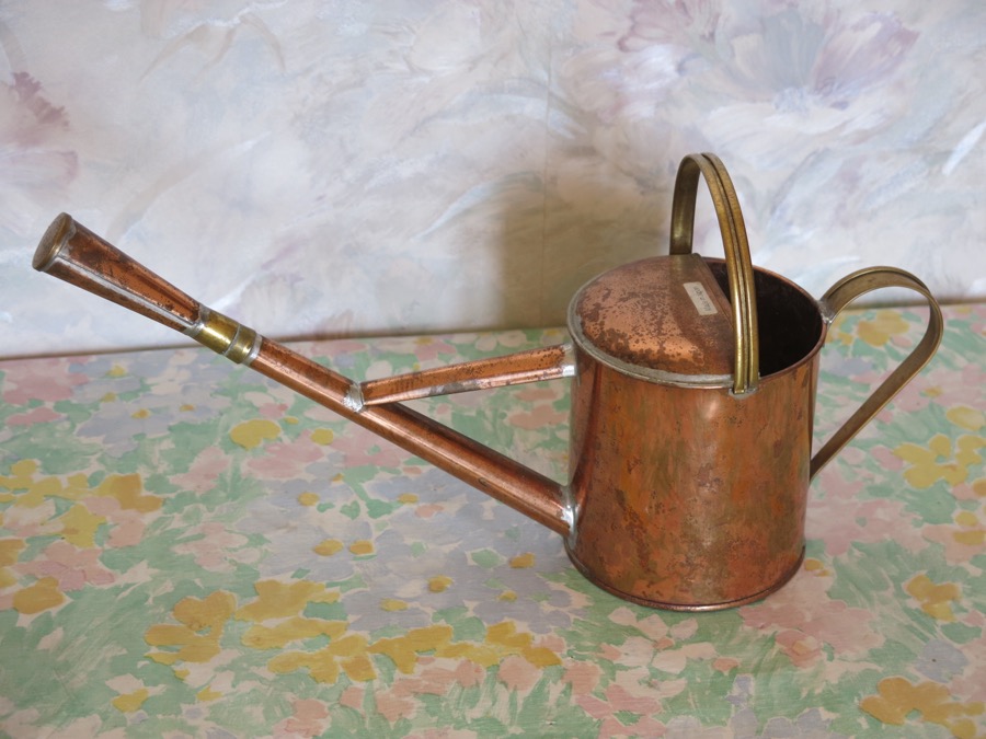 Long-Spout Watering Can